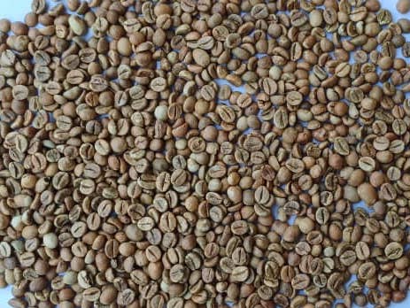 Robusta Screen 18